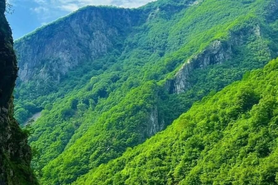 Tour from Shkodra City to Komani Lake & Shala River (Boat Tour)